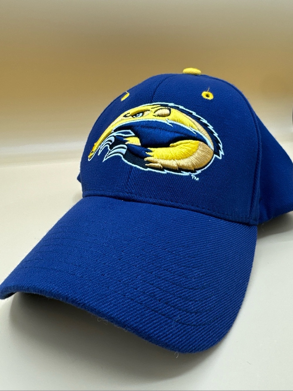 UC IRVINE Anteaters University Fitted Yellow Blue Hat Sz M/L Embroidered